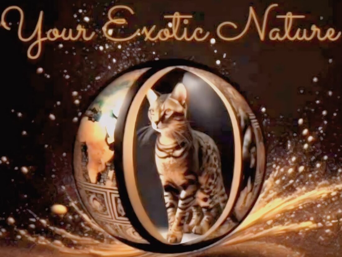 your exotic nature yen